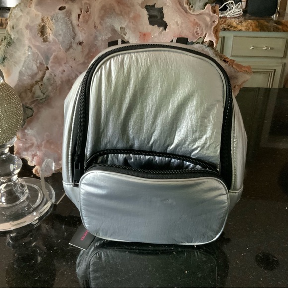 No BOUNDARIES Mini  Sliver Metallic backpack - Picture 5 of 12